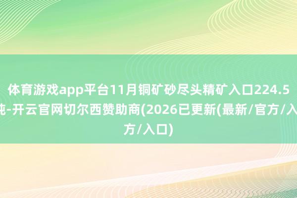 体育游戏app平台11月铜矿砂尽头精矿入口224.5万吨-开云官网切尔西赞助商(2026已更新(最新/官方/入口)