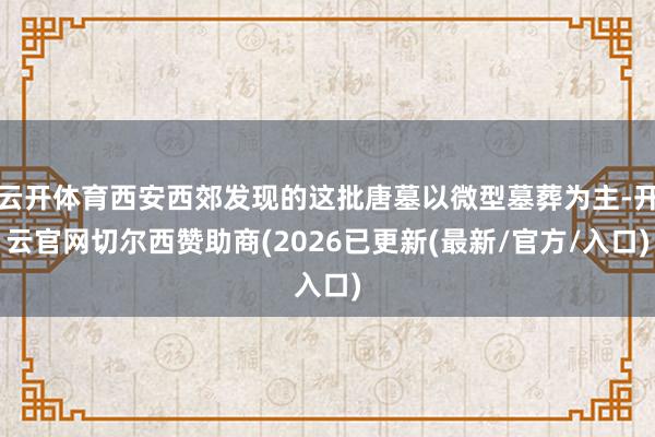 云开体育西安西郊发现的这批唐墓以微型墓葬为主-开云官网切尔西赞助商(2026已更新(最新/官方/入口)