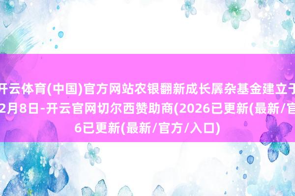 开云体育(中国)官方网站农银翻新成长羼杂基金建立于2021年12月8日-开云官网切尔西赞助商(2026已更新(最新/官方/入口)