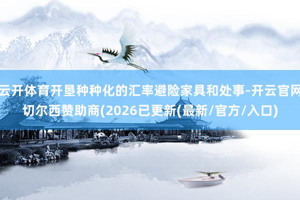 云开体育开垦种种化的汇率避险家具和处事-开云官网切尔西赞助商(2026已更新(最新/官方/入口)