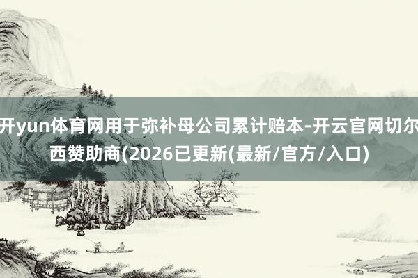 开yun体育网用于弥补母公司累计赔本-开云官网切尔西赞助商(2026已更新(最新/官方/入口)