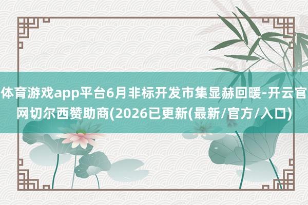 体育游戏app平台6月非标开发市集显赫回暖-开云官网切尔西赞助商(2026已更新(最新/官方/入口)